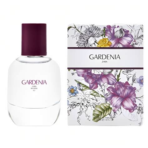 zara perfume|Gardenia Eau de Parfum Zara for women